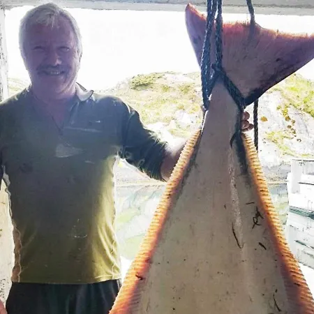 בית נופש 6 Person In Hernar-by Traum *