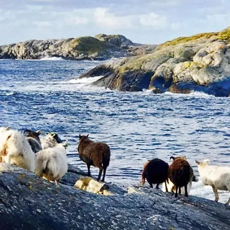 6 Person In Hernar-by Traum בית נופש Bovagen