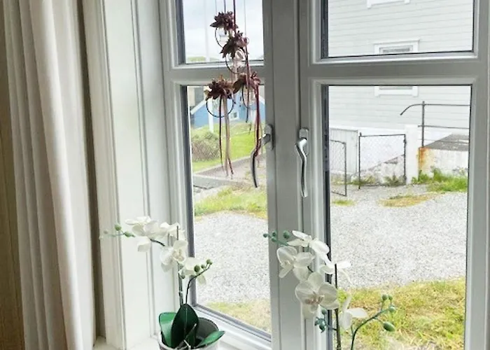 6 Person In Hernar-by Traum *