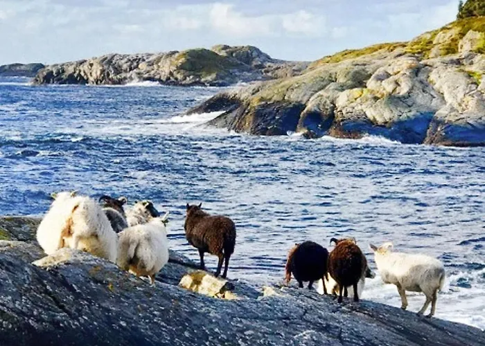 6 Person In Hernar-by Traum Hébergement de vacances Bovagen